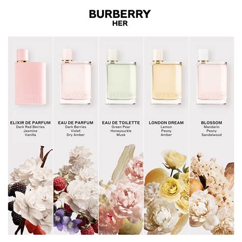 burberry her perfume ingredients|burberry her vs elixir.